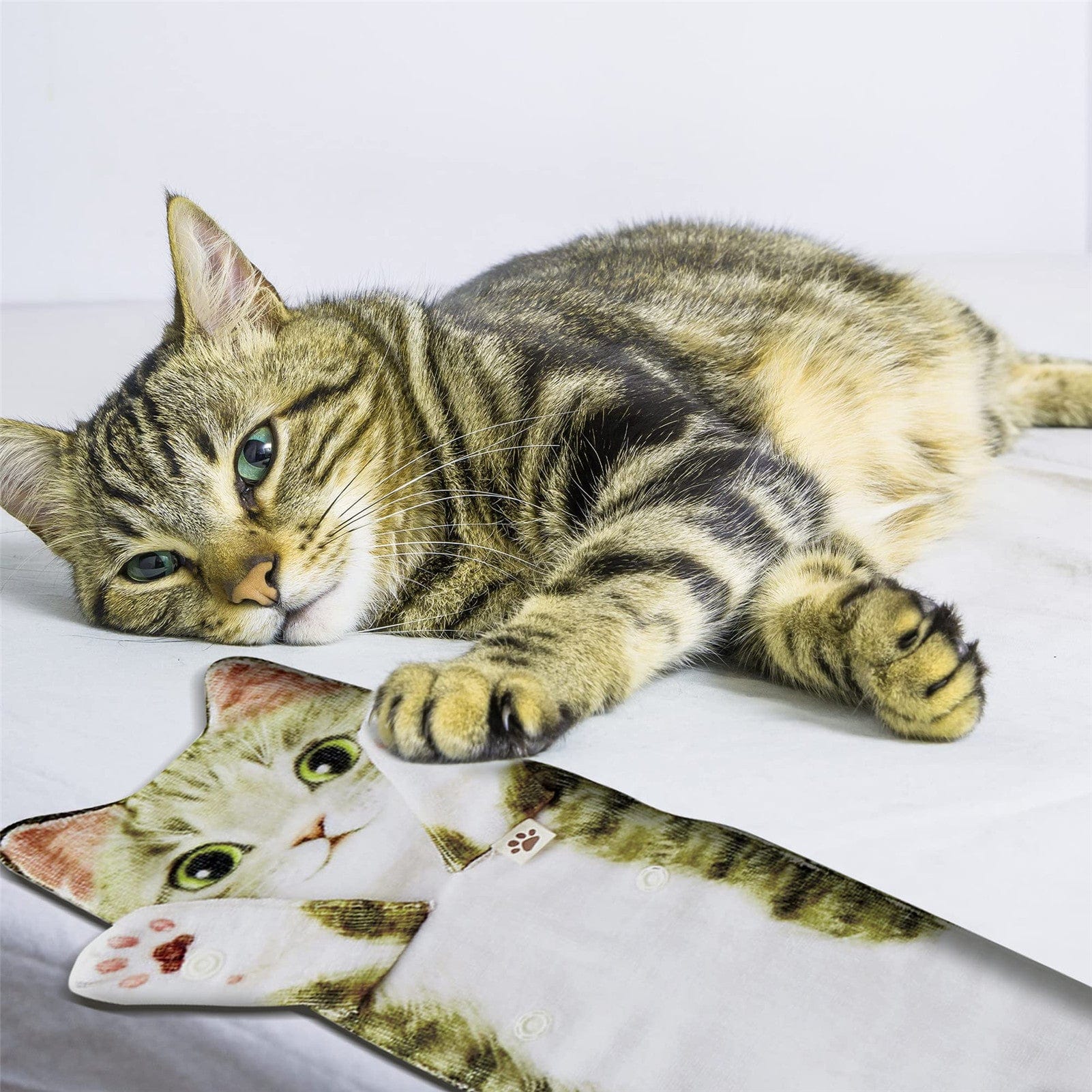Cat Towels - Image 10